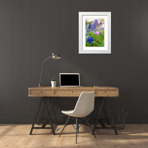 Lampasas-Texas-USA-Pink Evening Primrose and Bluebonnet wildflowers in the Texas Hill Country White Modern Wood Framed Art Print with Double Matting by Wilson, Emily M.