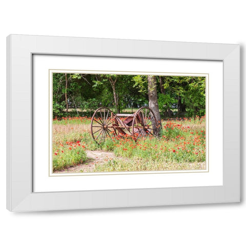 Castroville-Texas-USA-Rusted antique farm equipment in a field of poppies White Modern Wood Framed Art Print with Double Matting by Wilson, Emily M.