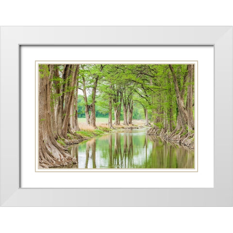 Waring-Texas-USA-Trees along the Guadalupe River in the Texas Hill Country White Modern Wood Framed Art Print with Double Matting by Wilson, Emily M.