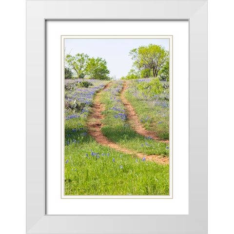 Llano-Texas-USA-Two rut road through bluebonnets in the Texas Hill Country White Modern Wood Framed Art Print with Double Matting by Wilson, Emily M.