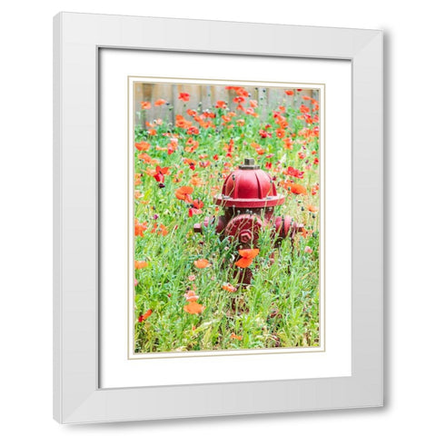Castroville-Texas-USA-Poppies and fire hydrant in the Texas Hill Country White Modern Wood Framed Art Print with Double Matting by Wilson, Emily M.