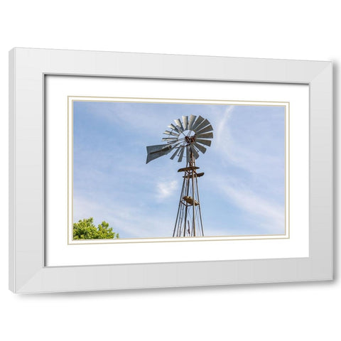 Castroville-Texas-USA-Windmill in the Texas Hill Country White Modern Wood Framed Art Print with Double Matting by Wilson, Emily M.