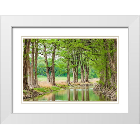 Waring-Texas-USA-Trees along the Guadalupe River in the Texas Hill Country White Modern Wood Framed Art Print with Double Matting by Wilson, Emily M.