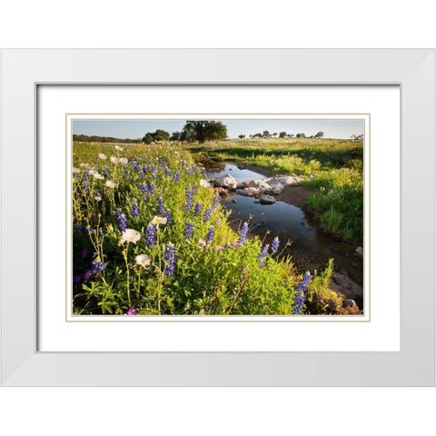 Wildflowers White Modern Wood Framed Art Print with Double Matting by Ditto, Larry