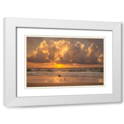 Sunrise on Gulf of Mexico at South Padre Island White Modern Wood Framed Art Print with Double Matting by Ditto, Larry