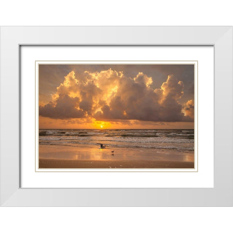 Sunrise on Gulf of Mexico at South Padre Island White Modern Wood Framed Art Print with Double Matting by Ditto, Larry