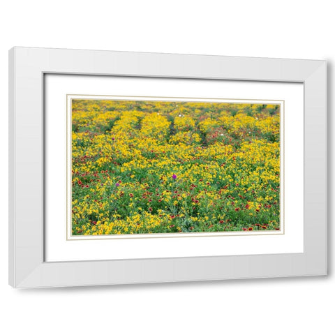 Texas Wildflowers White Modern Wood Framed Art Print with Double Matting by Ditto, Larry