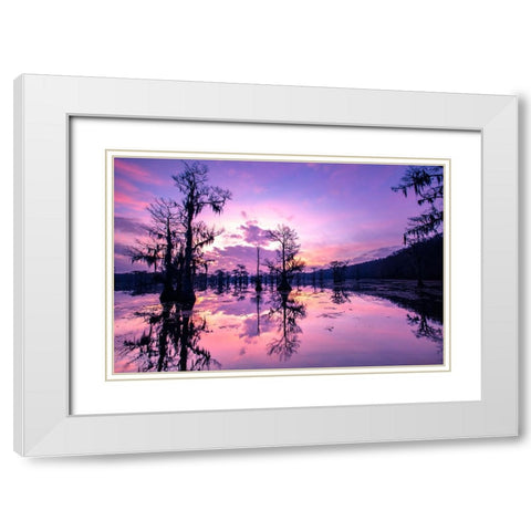 Caddo Lake at sunrise White Modern Wood Framed Art Print with Double Matting by Ditto, Larry
