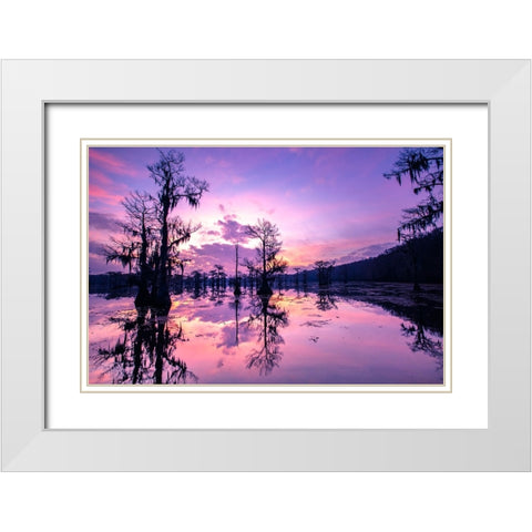 Caddo Lake at sunrise White Modern Wood Framed Art Print with Double Matting by Ditto, Larry