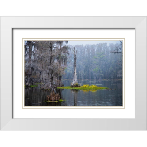 Caddo Lake morning White Modern Wood Framed Art Print with Double Matting by Ditto, Larry