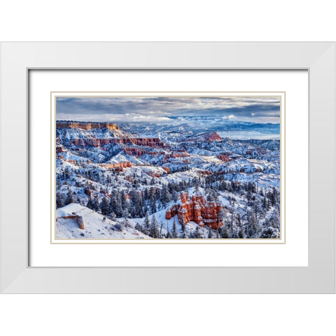 Utah-Bryce Canyon National Park-Buttes and hoodoos on a winter morning White Modern Wood Framed Art Print with Double Matting by Collins, Ann