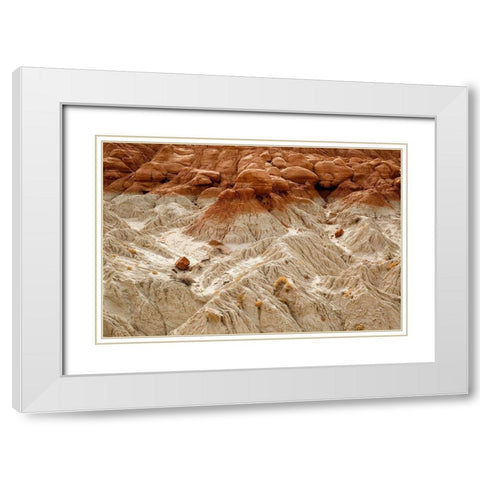 Utah-Grand Staircase-Escalante National Monument-Toadstools area White Modern Wood Framed Art Print with Double Matting by Collins, Ann