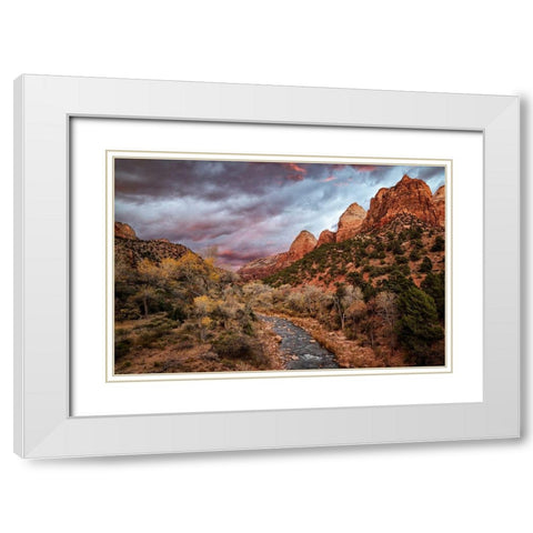 Utah-Zion National Park-A fiery sunset lights up Zions Virgin River and cottonwood trees White Modern Wood Framed Art Print with Double Matting by Collins, Ann