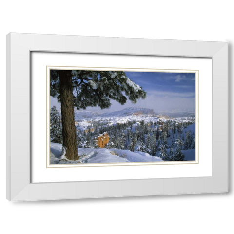 USA, Utah, Bryce Canyon in Winter White Modern Wood Framed Art Print with Double Matting by Rotenberg, Nancy