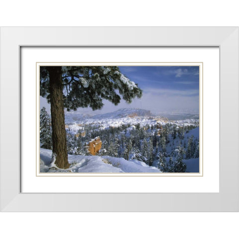 USA, Utah, Bryce Canyon in Winter White Modern Wood Framed Art Print with Double Matting by Rotenberg, Nancy