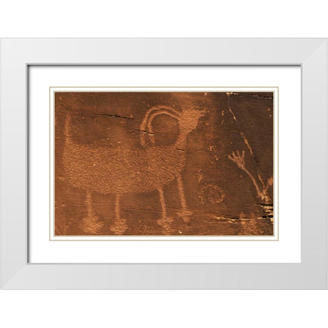 Utah Petroglyph rock art at Dinosaur NM White Modern Wood Framed Art Print with Double Matting by Flaherty, Dennis