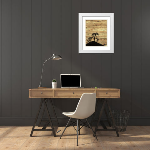 UT, Zion NP Pine tree silhouetted against rock White Modern Wood Framed Art Print with Double Matting by Young, Bill