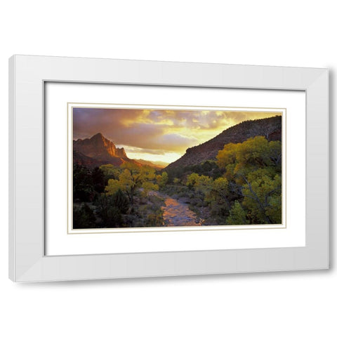UT, Zion NP  Canyon landscape at sunset White Modern Wood Framed Art Print with Double Matting by Young, Bill