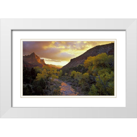 UT, Zion NP  Canyon landscape at sunset White Modern Wood Framed Art Print with Double Matting by Young, Bill