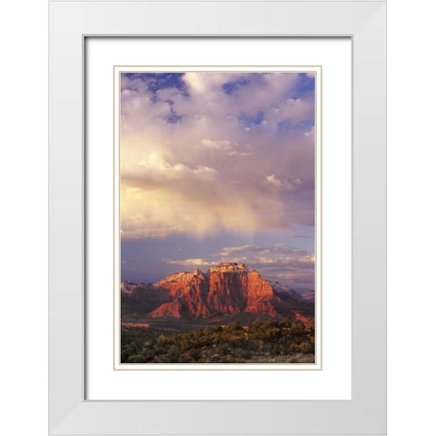 UT, Zion NP Storm over back of West Temple White Modern Wood Framed Art Print with Double Matting by Welling, Dave