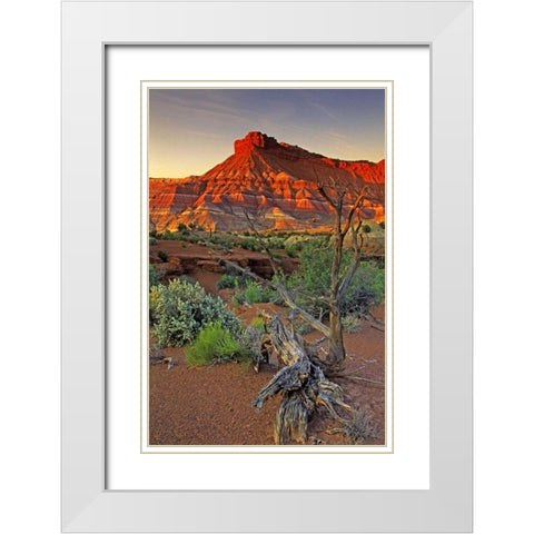 Utah Paria Canyon sandstone formation at sunset White Modern Wood Framed Art Print with Double Matting by Welling, Dave