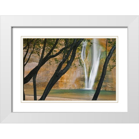 USA, Utah View of Calf Creek Falls through trees White Modern Wood Framed Art Print with Double Matting by Paulson, Don