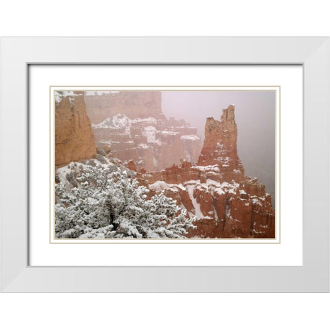 Utah, Bryce Canyon Paria Valley formations White Modern Wood Framed Art Print with Double Matting by Paulson, Don