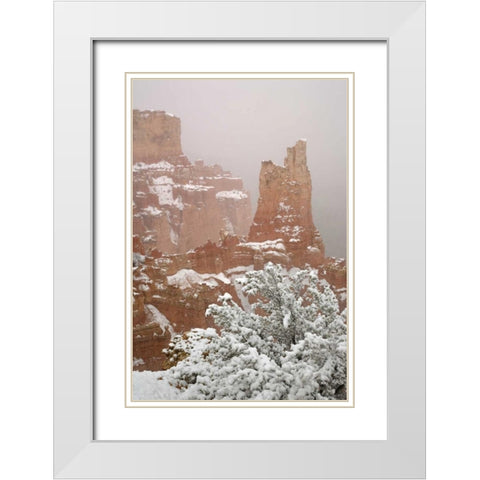 Utah, Bryce Canyon Paria Valley formations White Modern Wood Framed Art Print with Double Matting by Paulson, Don