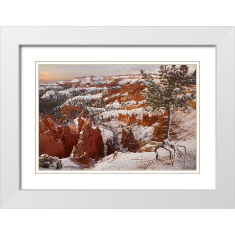 Utah, View of Bryce Canyon in winter White Modern Wood Framed Art Print with Double Matting by Paulson, Don