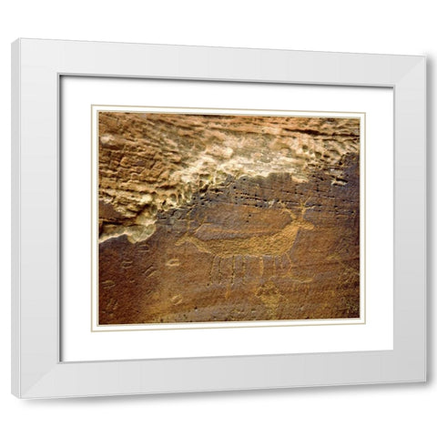 Utah Petroglyph carvings of animals on rock face White Modern Wood Framed Art Print with Double Matting by Talbot Frank, Christopher