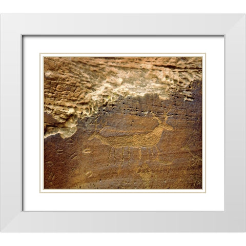 Utah Petroglyph carvings of animals on rock face White Modern Wood Framed Art Print with Double Matting by Talbot Frank, Christopher
