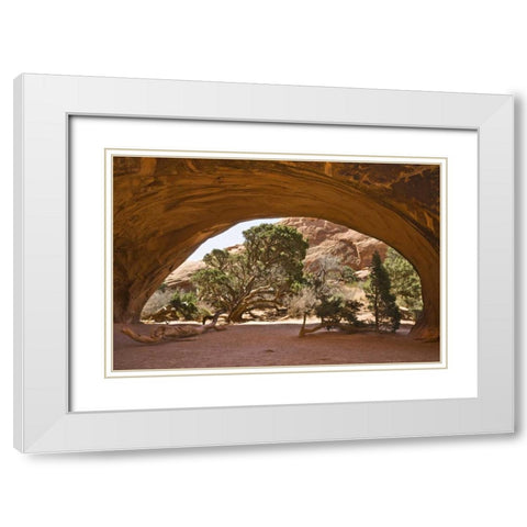 USA, Utah, Arches NP View of cave-like arch White Modern Wood Framed Art Print with Double Matting by Paulson, Don