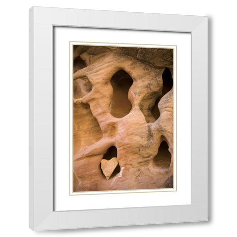 UT, Canyonlands NP Heart-shape rock in sandstone White Modern Wood Framed Art Print with Double Matting by Paulson, Don