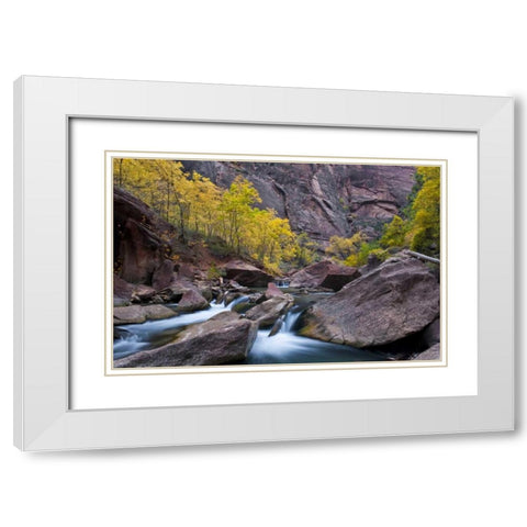 UT, Zion NP Tree lined stream in The Narrows White Modern Wood Framed Art Print with Double Matting by Rotenberg, Nancy