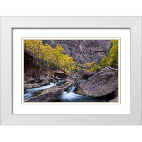 UT, Zion NP Tree lined stream in The Narrows White Modern Wood Framed Art Print with Double Matting by Rotenberg, Nancy