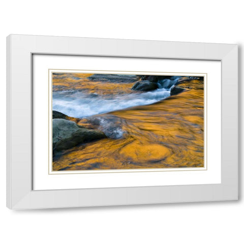 UT, Zion NP Canyon reflections on Virgin River White Modern Wood Framed Art Print with Double Matting by Rotenberg, Nancy