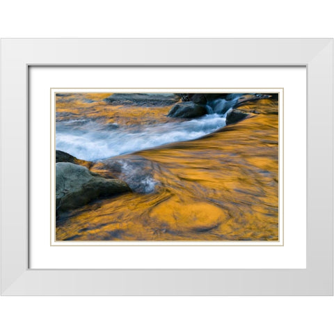 UT, Zion NP Canyon reflections on Virgin River White Modern Wood Framed Art Print with Double Matting by Rotenberg, Nancy