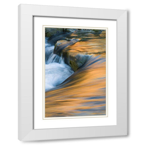 UT, Zion NP Canyon reflections on Virgin River White Modern Wood Framed Art Print with Double Matting by Rotenberg, Nancy