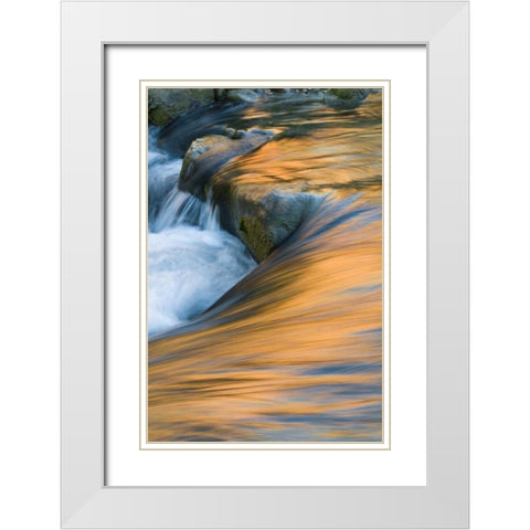 UT, Zion NP Canyon reflections on Virgin River White Modern Wood Framed Art Print with Double Matting by Rotenberg, Nancy