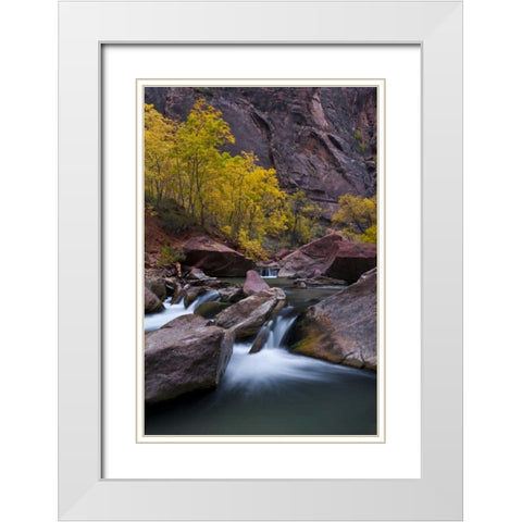UT, Zion NP Waterfall with cottonwood trees White Modern Wood Framed Art Print with Double Matting by Rotenberg, Nancy