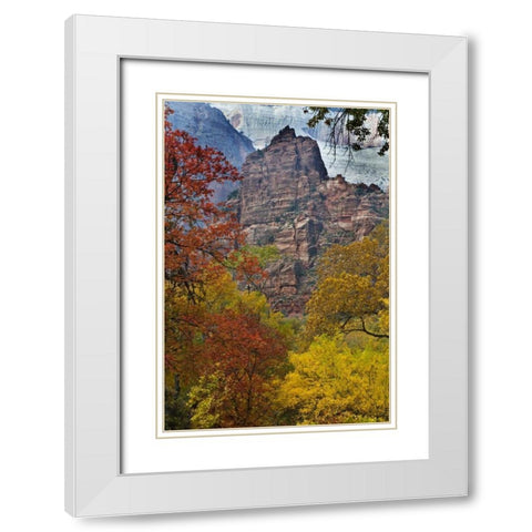USA, Utah, Zion NP Fall foliage in The Narrows White Modern Wood Framed Art Print with Double Matting by Rotenberg, Nancy