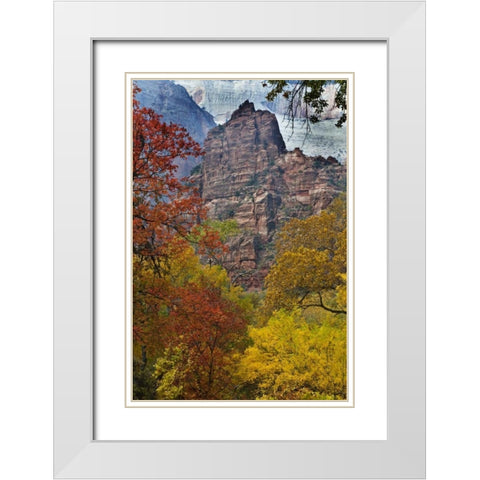 USA, Utah, Zion NP Fall foliage in The Narrows White Modern Wood Framed Art Print with Double Matting by Rotenberg, Nancy