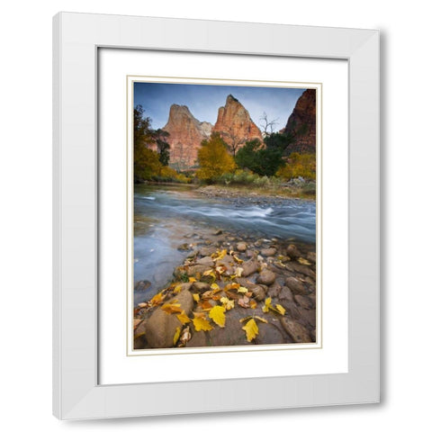 UT, Zion NP The Sentinel and fallen leaves White Modern Wood Framed Art Print with Double Matting by Rotenberg, Nancy