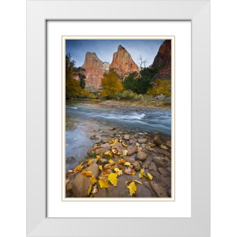 UT, Zion NP The Sentinel and fallen leaves White Modern Wood Framed Art Print with Double Matting by Rotenberg, Nancy