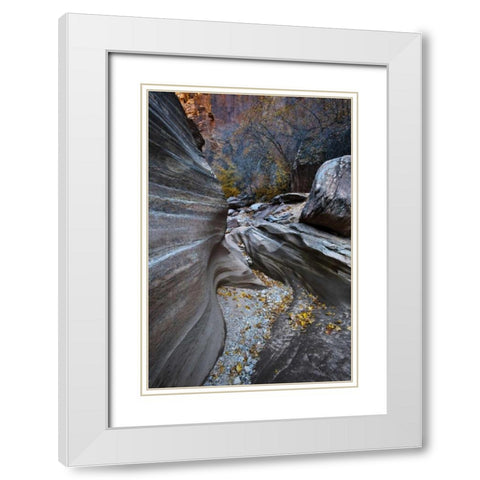 UT, Zion NP Canyon in fall along a Highway White Modern Wood Framed Art Print with Double Matting by Rotenberg, Nancy