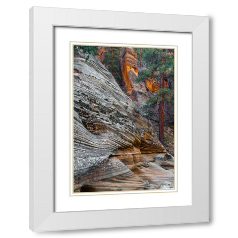Utah, Zion NP Rock formations in Red Rock Canyon White Modern Wood Framed Art Print with Double Matting by Rotenberg, Nancy