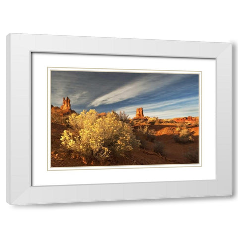 UT, Valley of The Gods Eroded formations White Modern Wood Framed Art Print with Double Matting by Rotenberg, Nancy