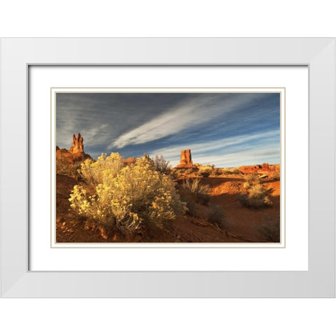 UT, Valley of The Gods Eroded formations White Modern Wood Framed Art Print with Double Matting by Rotenberg, Nancy