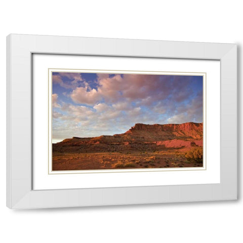 UT, Canyonlands NP Grand View Point Overlook White Modern Wood Framed Art Print with Double Matting by Lord, Fred