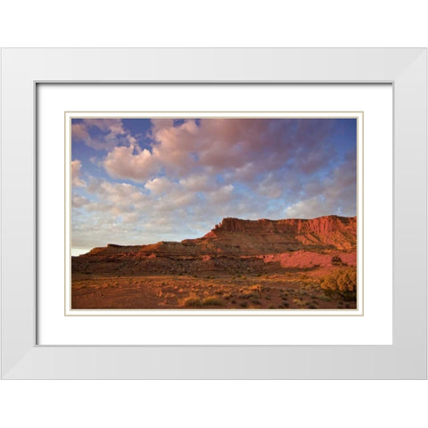 UT, Canyonlands NP Grand View Point Overlook White Modern Wood Framed Art Print with Double Matting by Lord, Fred
